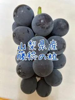 【りんご】藤稔の粒　箱込2kg弱 りんご様専用】藤稔の粒 箱込2kg弱 - メルカリ