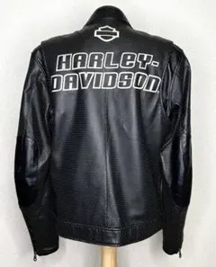 2026年最新】Harley-Davidson メンズ シングルライダースの人気