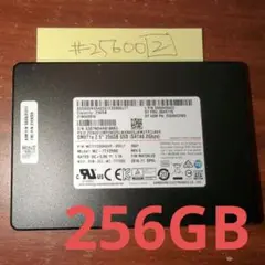 2️⃣Samsung 256GB SSD MZ7TY256HDHP-000L7