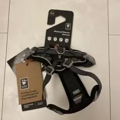 Item thumbnail for item ca1febc2-f2db-4dce-b9b1-cc13628bb13f