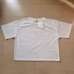 Item thumbnail for item de216601-dde8-4753-8b0e-3b90c6191a09