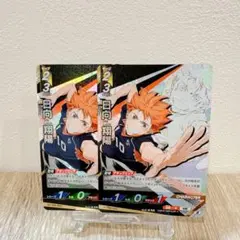 日向翔陽　2枚セット