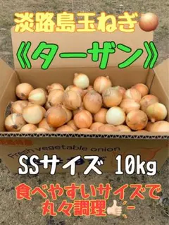 淡路島 玉ねぎ ⭐︎ターザン⭐︎ 10kg(極小SS) 農家直送のサムネイル