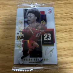 バレーボール日本代表 エバデダンラリー 男子日本代表ver.ツインウエハース