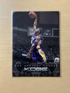 コービー　カード コービー＆レブロンのロゴマンパッチサインが1億6800万円