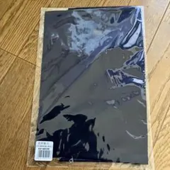 Item thumbnail for item 58e77042-acb2-4b83-bd7b-d16d336b32d0