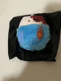 僕のヒーローアカデミア くるみたぴぬい 轟焦凍 ヒロアカ