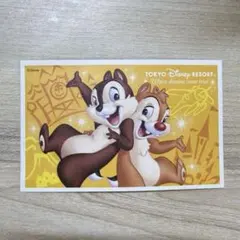 東京ディズニーリゾート チップとデール　使用済み株主用パスポート