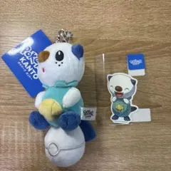 新品未使用タグ付き ポケパークカントー限定 夏グッズ ミジュマル 3点