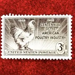 Item thumbnail for item 5710117c-92ca-4207-a210-a427980cee98