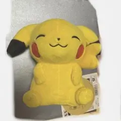 ポケモン - 専用出品  ★★ マイピカチュウ ★★ 匿名配送【My PIKACHU】マイピカチュウ ポケモンセンター 限定品
