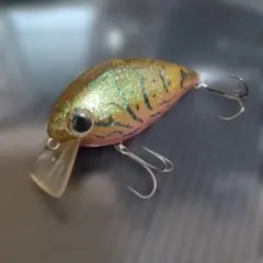 エバーグリーン シャローホグのサムネイル