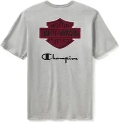 Item thumbnail for item 847b9727-ad4a-4a65-8488-12955419c9a4