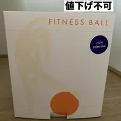 primasole フィットネス　バランスボール　75cm インディゴブルー