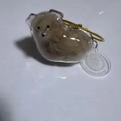 犬型カプセルトイ ストラップ付き　毛入り　三角たれみみ