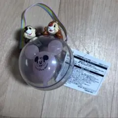 ディズニーリゾート　スナックケース　チップとデール　新品タグ付き