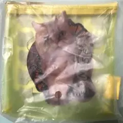 新品　未使用　ポール&ジョー　ノベルティ