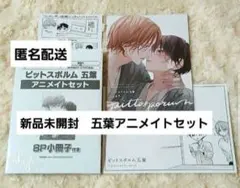 ピットスポルム　特典20点　小冊子　リーフレット　イラストカード　クリアカード 2026年最新】コミコミ小冊子 ピットスポルムの人気アイテム - メルカリ