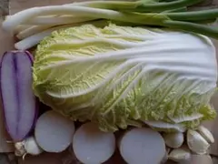 新鮮な野菜セット（白菜・長ネギ・大根など）