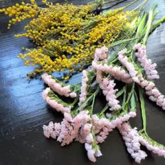 abehi＊様専用♪