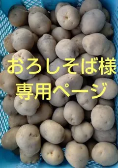 おろしそば様専用ページです