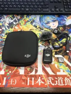 Item thumbnail for item 3c18ef1a-8aa0-4814-8c7e-ca35f76e583d