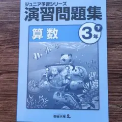 エミジュニア予習シリーズ小2セット【未使用】【美品】 2026年最新】ジュニア予習シリーズの人気アイテム - メルカリ