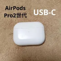 Apple AirPods Pro 第2世代 USB-C 充電ケースのみ 17