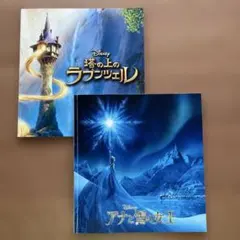 ディズニー アナと雪の女王 塔の上のラプンツェル　映画パンフレット2冊セット