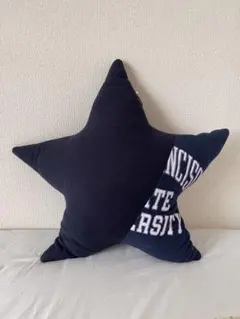 【ロンハーマン】クッション/枕カバー　新品未使用 org.jpg