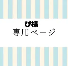 【ぴ様専用出品】