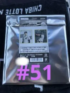 千葉ロッテマリーンズ　山口 航輝のサムネイル