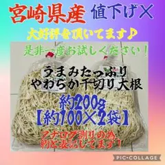 宮崎産・乾燥たけのこ☆200g強☆ - メルカリ