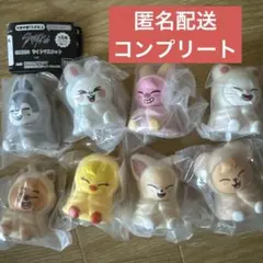 匿名配送　straykids SKZOO ガチャ ライトマスコット コンプリート