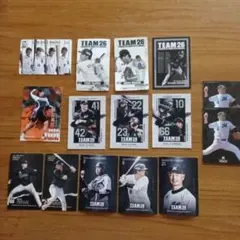 千葉ロッテマリーンズ マリーンズコレクションカードまとめ売り15枚