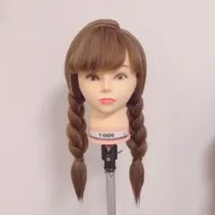 [即購入可］雪山アナ　セット済　ウィッグ　dハロ　仮装　コスプレ　アナと雪の女王