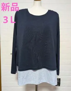 Item thumbnail for item 24ad3ea2-c458-49a5-82d0-b0a185ad83c3