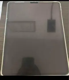iPad pro 第三世代 12.9インチ シルバー