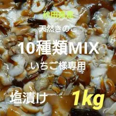 秋田県産 天然きのこ 10種類MIX 塩漬け 1kg
