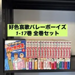 全巻初版】好色哀歌元バレーボーイズ 1-17巻 全巻セット 村田ひろゆき