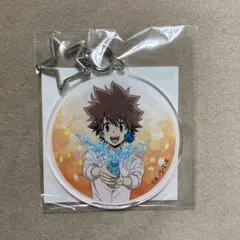 家庭教師ヒットマンREBORN アクリルキーホルダー くじ引き堂 沢田綱吉