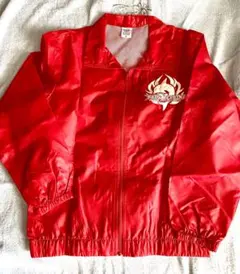 HINO レッドドルフィンズ ラガーシャツ HINO レッドドルフィンズ ラガーシャツ 🔴エスコートキッズ