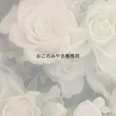 おこのみやき様 専用