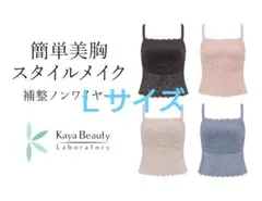 ブラデリス カヤビューティラボ はくだけ簡単!レーシーロングブラ24 補正下着のサムネイル
