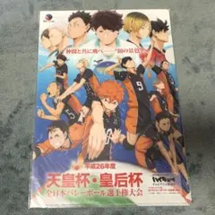 ハイキュー!!　クリアファイル　烏野　音駒　青葉城西　伊達工業　天皇杯・皇后杯