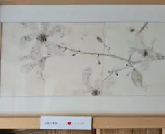 ヴィクトリア・アンド・アルバート博物館所蔵 パターン・デザイン集4冊セット ヴィクトリア・アンド・アルバート博物館所蔵 パターン・デザイン集4冊
