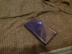 ニンテンドーDS Lite 青色 充電器付き
