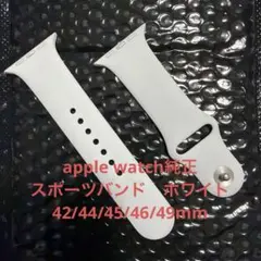 apple watch バンド 45mm