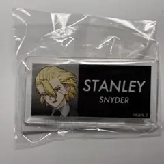 Dr.STONE チェンジング ガラスキーホルダー スタンリー キーホルダー