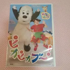 ピカピカブー！ DVD